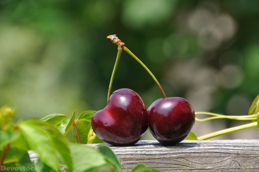 Devostock Cherry Pair Fruits Sweet