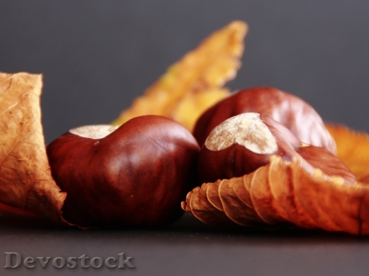 Devostock Chestnut Leaves Autumn 501523