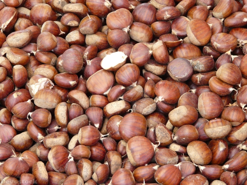 Devostock Chestnuts Chestnut Castanea Sativa