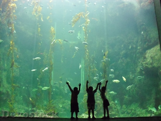Devostock Child Aquarium Water Sea
