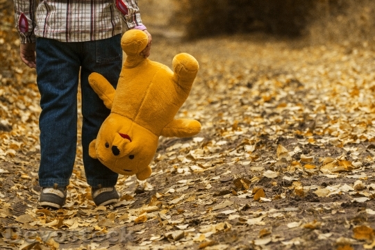 Devostock Child Autumn Bear Leaves