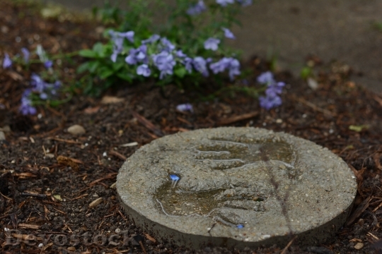 Devostock Child Handprint Garden Hand