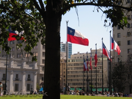 Devostock Chile Country Flag 404677