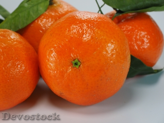 Devostock Clementines Oranges Tangerines 795777