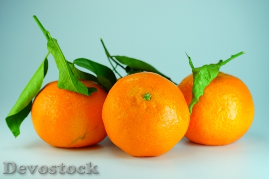 Devostock Clementines Oranges Tangerines 986873
