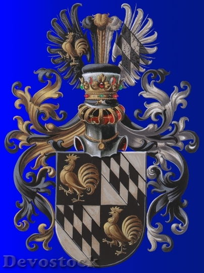 Devostock Coat Arms European Tradition 2