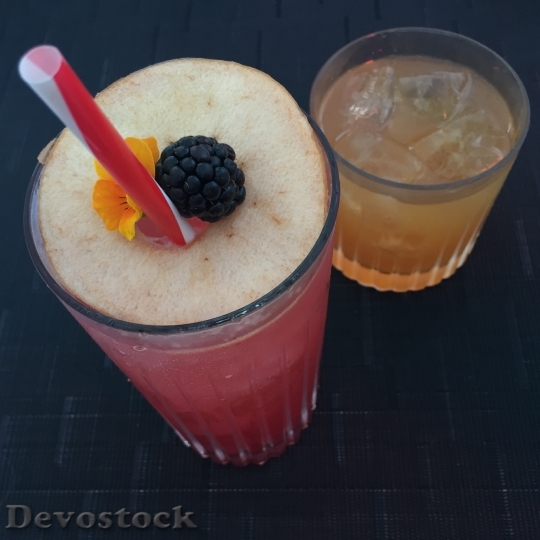 Devostock Cocktails Fruit Straw 1652808