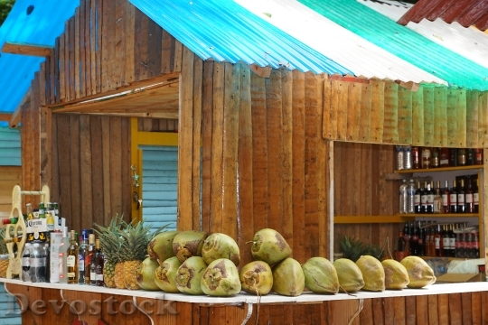 Devostock Coconut Bar Caribbean Exotic