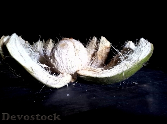Devostock Coconut Fruit Food Ripe
