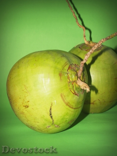 Devostock Coconut Green White Fruit 2