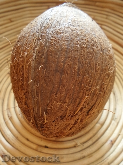 Devostock Coconut Round Fruit Healthy