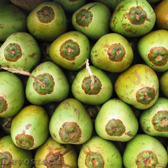Devostock Coconuts Fruit Coco Green 0