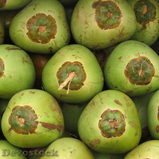 Devostock Coconuts Fruit Coco Green 3