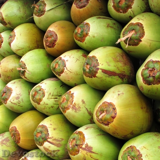 Devostock Coconuts Fruit Coco Green 4