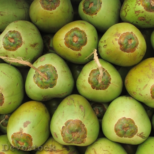 Devostock Coconuts Fruit Coco Green