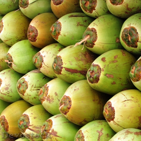 Devostock Coconuts Fruit Coco Green 5