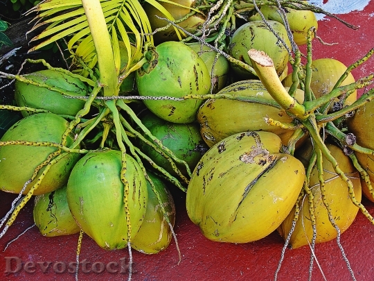 Devostock Cocos Fruit Green Bouquet