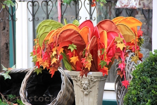 Devostock Colorful Deco Autumn Leaves