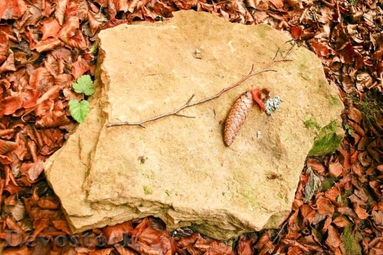 Devostock Cone On Stone Among