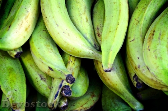 Devostock Cooking Bananas Bananas Green
