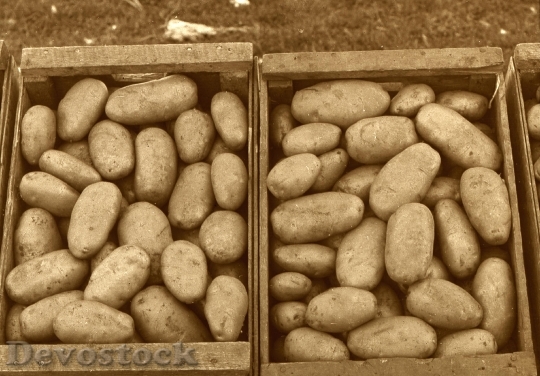 Devostock Crates Potatoes
