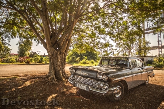 Devostock Cuba Car Forest Adventure