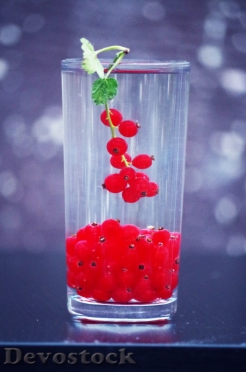 Devostock Currant Fruit Health Berry 0