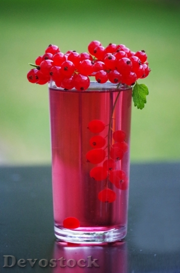 Devostock Currant Fruit Health Berry