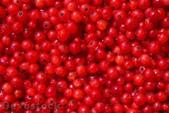 Devostock Currants Background Fruit Berry