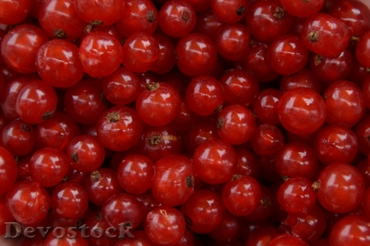 Devostock Currants Berries Fruit Red 0