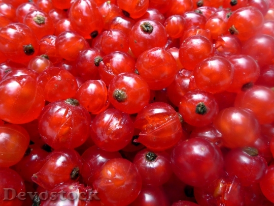 Devostock Currants Berries Soft Fruit 0