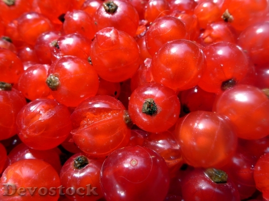 Devostock Currants Berries Soft Fruit