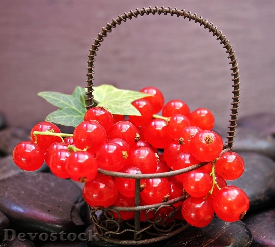 Devostock Currants Fruit Red Currant 2