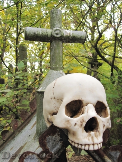 Devostock Death Skull Skull Crossbones