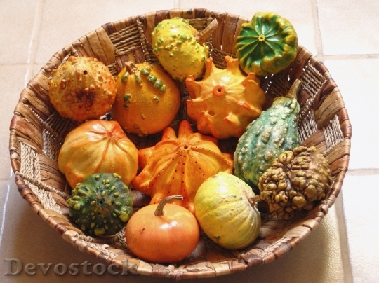 Devostock Decorative Squashes Pumpkins Dried