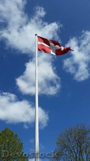 Devostock Denmark Flag Air 879910