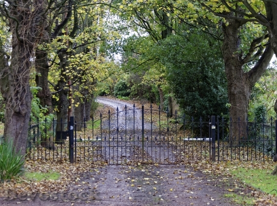 Devostock Driveway Country Lane Road