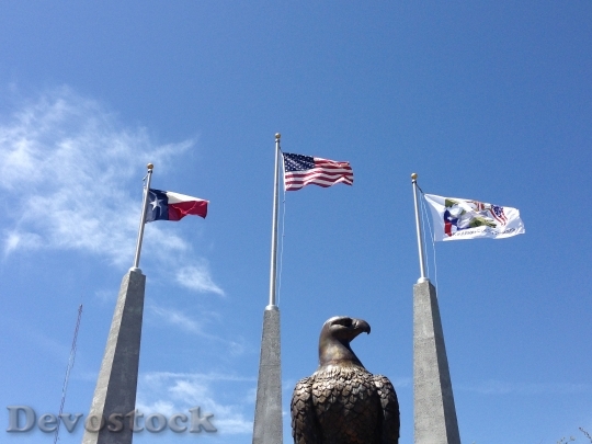Devostock Eagle Flags Texas War