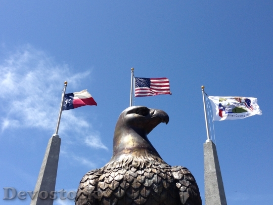 Devostock Eagle Texas Flags America 0