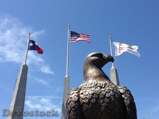 Devostock Eagle Texas Flags America