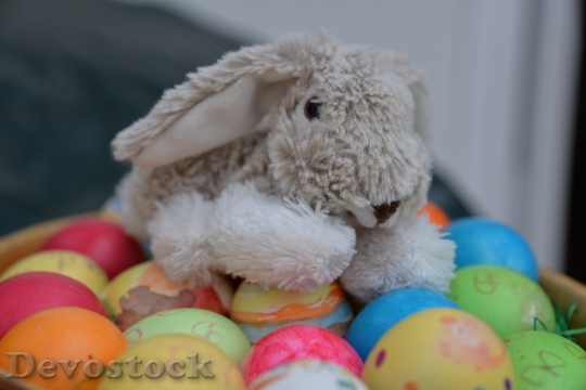Devostock Easter Easter Bunny Egg 0