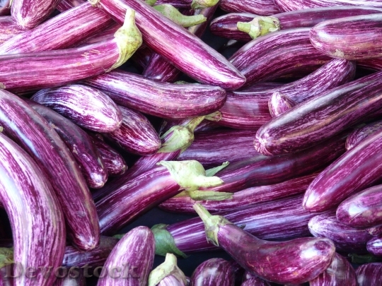 Devostock Eggplant Mark Purple Violet