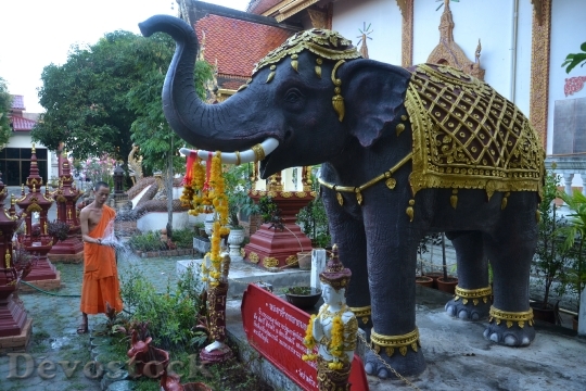 Devostock Elephant Monk Thailand Temple