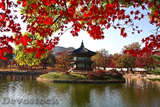 Devostock Facing Garden Gyeongbok Palace 2