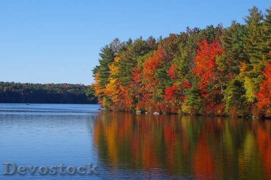 Devostock Fall Foliage Lake Colorful