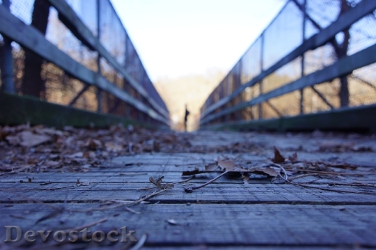 Devostock Fence Bridge Leaves Autumn