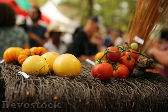 Devostock Festival De La Tomate 2