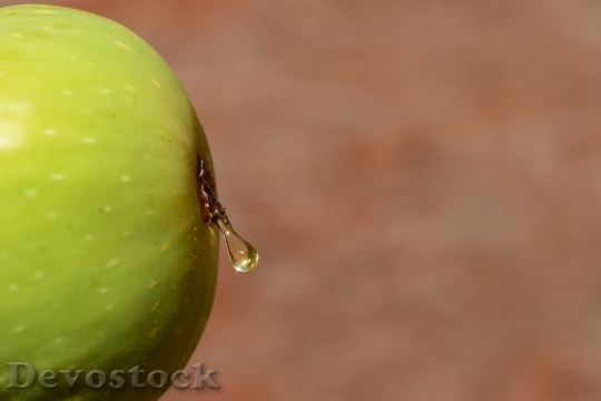 Devostock Fig Close Fruit Ripe