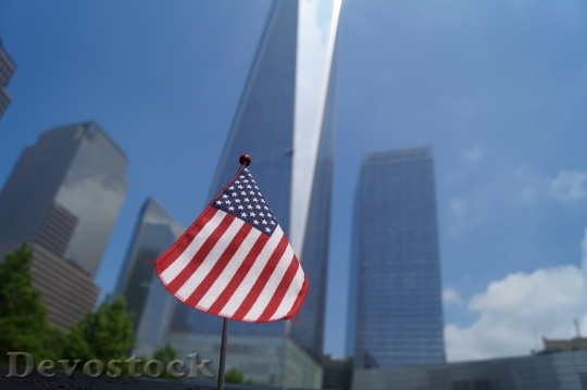 Devostock Flag America New York