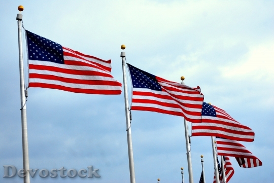 Devostock Flag Flags American United